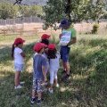 Projet biodiversité
