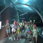 6 11 ans semaine 3 4