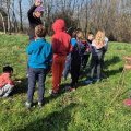 Souvenirs en images de la deuxième semaine des vacances d'hiver